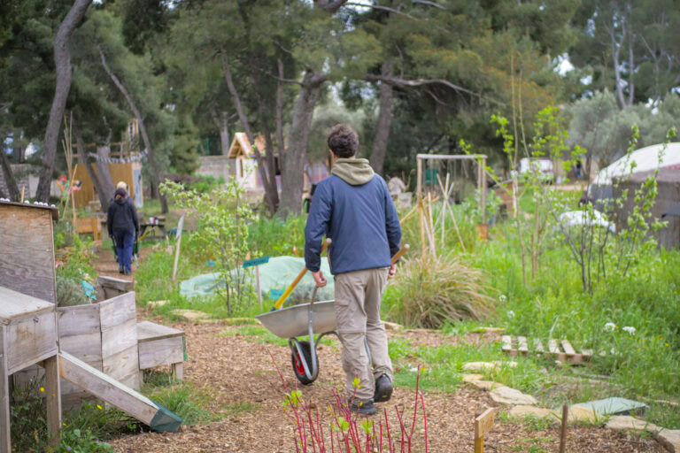 lpumm jardin cloitre