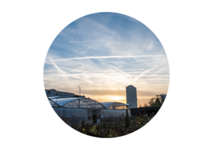 design sans titre (17)