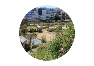 design sans titre (21)